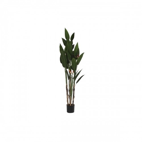 Декоративное растение DKD Home Decor (90 x 90 x 200 cm) image 1