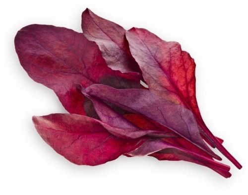 Click & Grow Smart Garden refill Red Leaf Beet 3pcs image 1