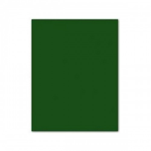 Картонная бумага Iris 185 g Темно-зеленый (50 x 65 cm) (25 штук) image 1