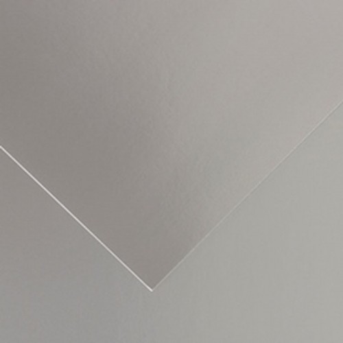 Картонная бумага Iris 250 g/m² Серебристый Серый 50 x 65 cm (25 штук) image 1