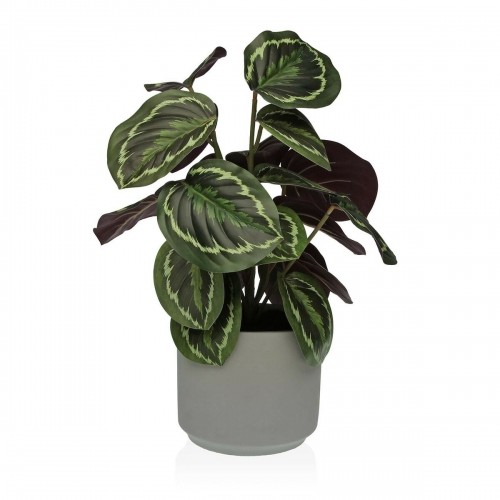 Декоративное растение Versa 15 x 40,5 x 15 cm Цемент Пластик image 1