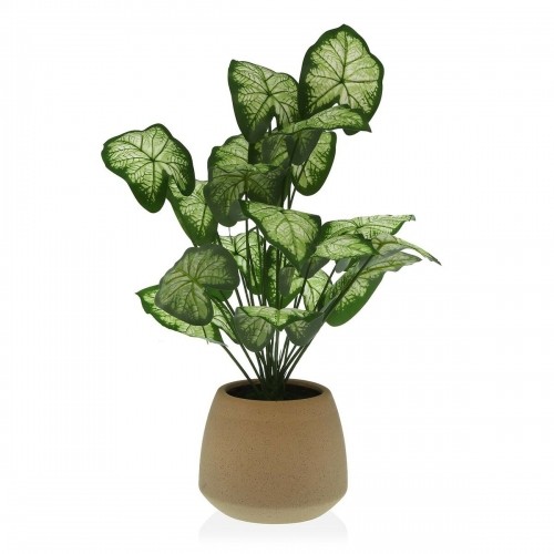 Декоративное растение Versa 15 x 52 x 15 cm Цемент Пластик image 1