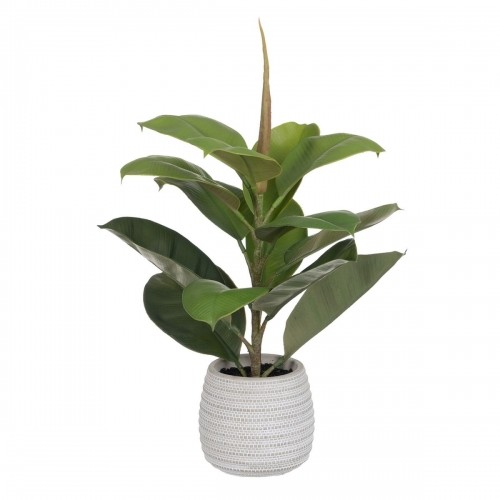 Bigbuy Home Декоративное растение Зеленый PVC Дуб 58 cm image 1