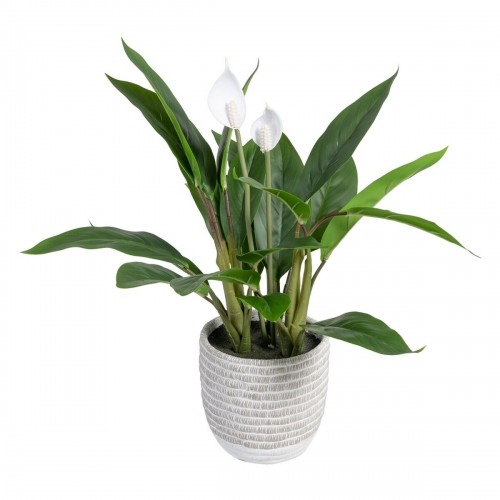 Bigbuy Home Декоративное растение 40 x 41 x 48 cm Зеленый PVC image 1