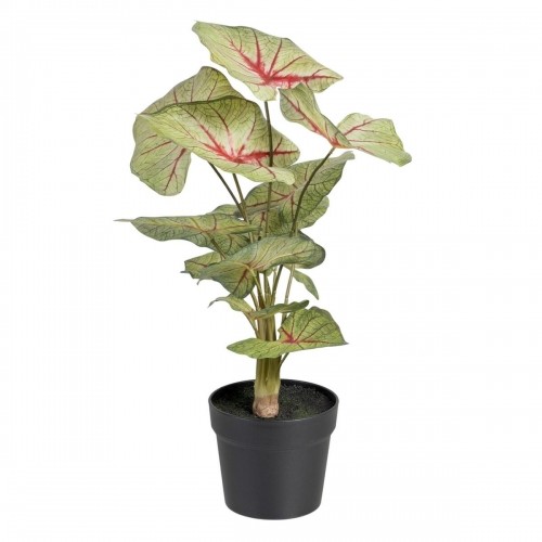 Bigbuy Home Декоративное растение Красный Зеленый PVC 40 x 35 x 55 cm image 1