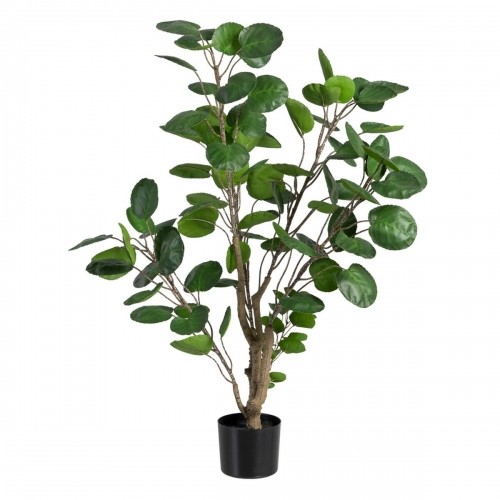 Decorative Plant 80 x 77 x 113 cm Green PVC Aralia image 1