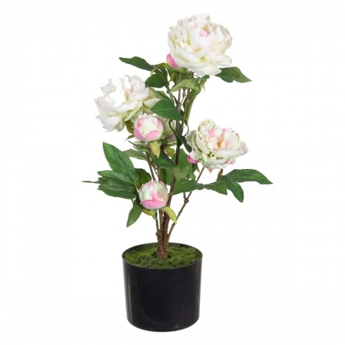 Decorative Plant 34 x 30 x 59 cm Cream Peony image 1
