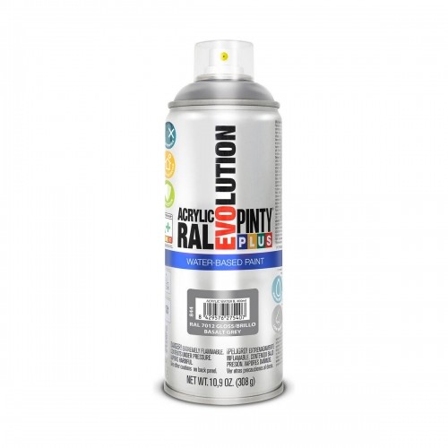 Аэрозольная краска Pintyplus Evolution RAL  7012 Basalt Grey 300 ml image 1