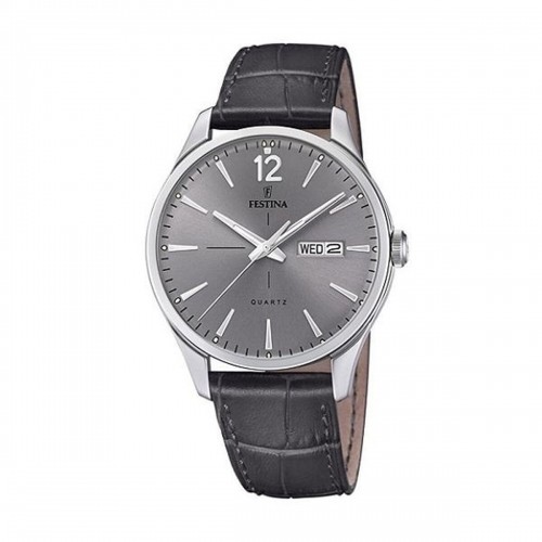 Мужские часы Festina F20205/2 image 1