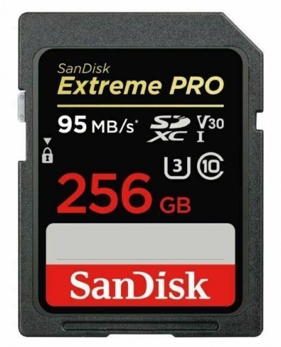 SANDISK BY WESTERN DIGITAL  
         
       MEMORY SDXC 256GB UHS-1/SDSDXXD-256G-GN4IN SANDISK image 1