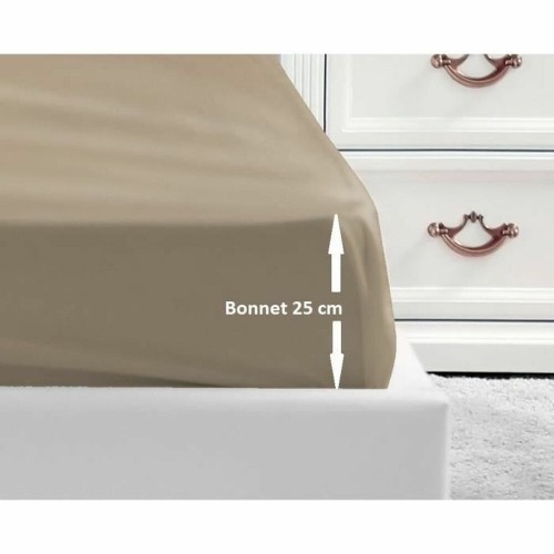 Fitted bottom sheet Lovely Home Beige 160 x 200 cm image 1