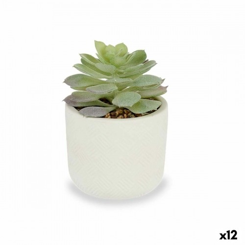 Decorative Plant Succulent Plastic 14 x 13,5 x 14 cm (12 Units) image 1