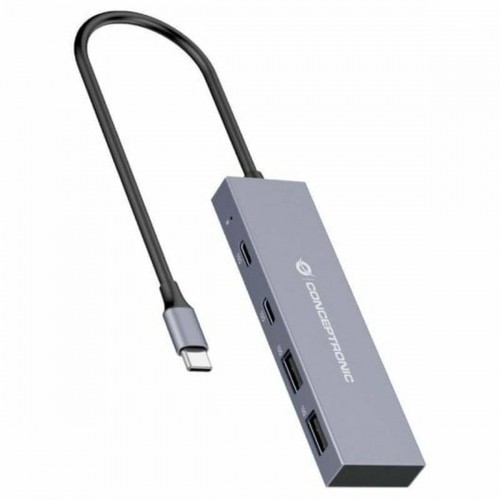 USB-разветвитель Conceptronic HUBBIES13G Серый image 1