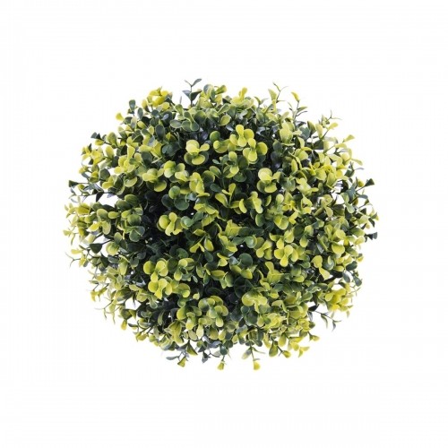 Decorative Plant   Ball Spring 20 x 20 x 20 cm image 1