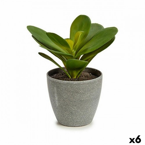 Ibergarden Декоративное растение Листья Круглая Пластик 11 x 15 x 11 cm (6 штук) image 1