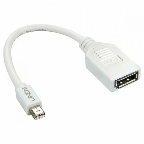 Адаптер Mini DisplayPort — DisplayPort LINDY 41021 Белый image 1