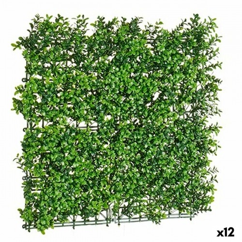 Ibergarden Vertikālais dārza komplekts 50 x 5 x 50 cm (12 gb.) image 1