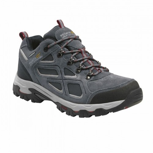 Hiking Boots Regatta Tebay  Grey Men image 1
