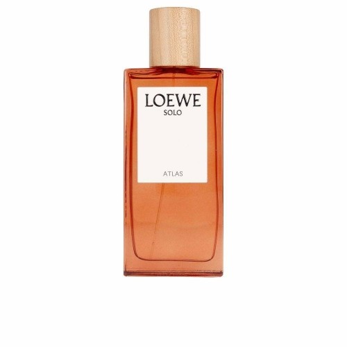 Мужская парфюмерия Loewe Solo Atlas EDP (100 ml) image 1
