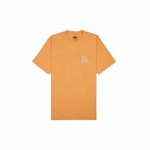 Short Sleeve T-Shirt Dickies Creswell Orange Men image 1