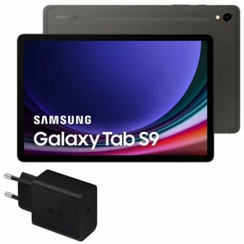 Планшет Samsung Galaxy Tab S9 Серый 1 TB 256 GB image 1