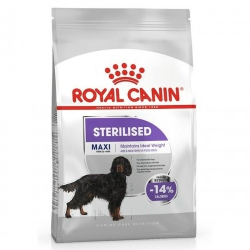 Lopbarība Royal Canin 12 kg image 1