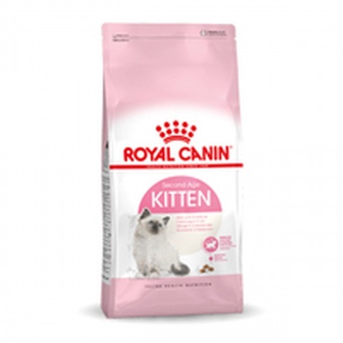 Cat food Royal Canin Kitten Chicken 10 kg image 1