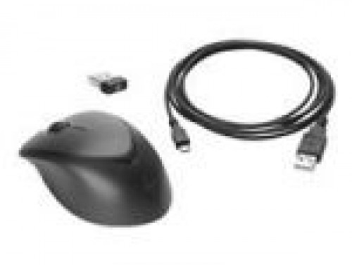 HP  
         
       HP Wireless Premium Mouse image 1