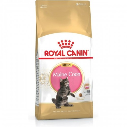 Cat food Royal Canin Maine Coon Kitten Chicken Rice Birds 4 Kg image 1