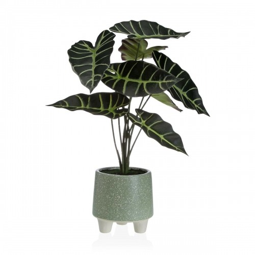 Декоративное растение Versa Металл Керамика полистирол Пластик 30 x 46 x 34 cm image 1