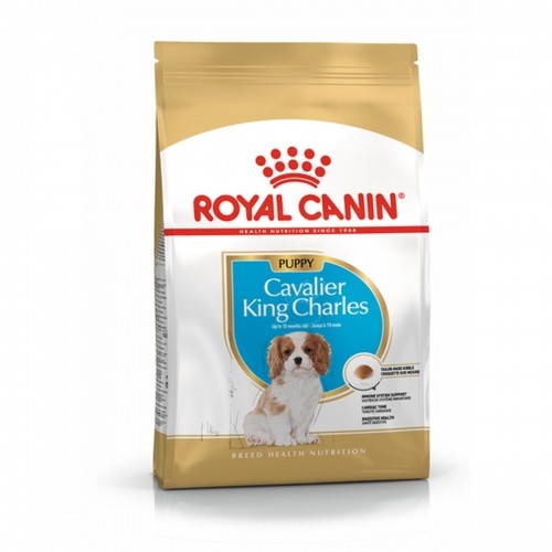 Lopbarība Royal Canin Cavalier King Charles Spaniel Puppy 1,5 Kg image 1