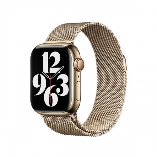 Pulksteņa siksna Watch 41 Apple MTJL3ZM/A M/L Bronza image 1