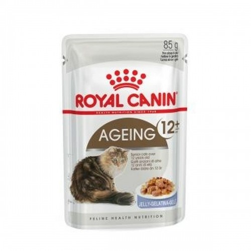 Cat food Royal Canin FHN Ageing 12+ Meat 12 x 85 g image 1