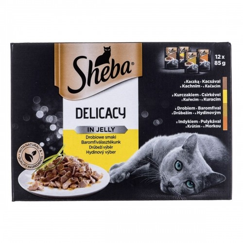 Kaķu barība Sheba Delicacy in Jelly Cālis Turcija Pīle Putni image 1