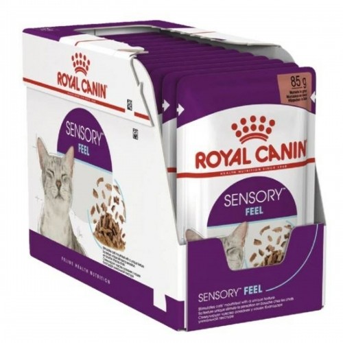Cat food Royal Canin SENSORY FEEL Meat 12 x 85 g image 1