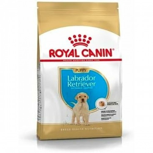 Фураж Royal Canin Щенок / Юниор 3 Kg image 1