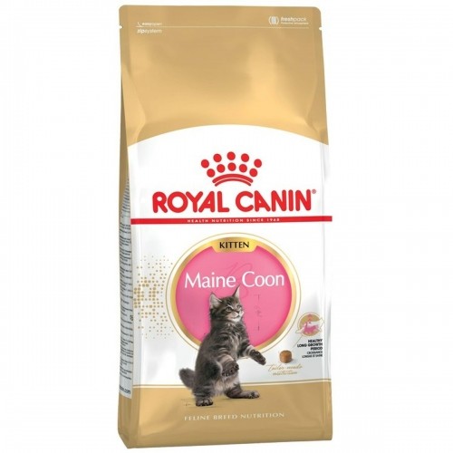 Kaķu barība Royal Canin Maine Coon Kitten Putni 2 Kg image 1