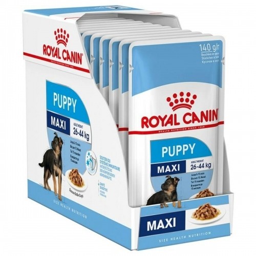 Mitrs ēdien Royal Canin Maxi Puppy 10 x 140 g image 1