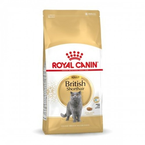 Kaķu barība Royal Canin British Shorthair Adult Pieaugušais 10 kg image 1