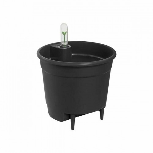 Self-watering flowerpot Elho Insert 28 Black Plastic 27,7 x 27,7 x 25,5 cm image 1