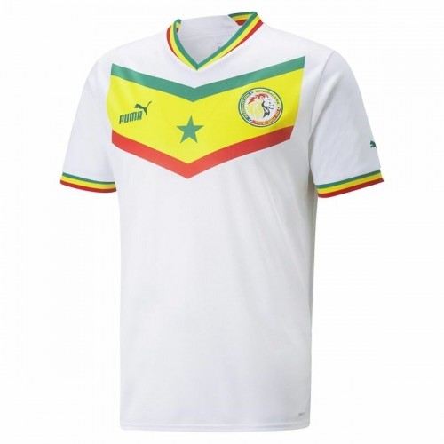 Спортивная футболка с коротким рукавом, мужская Puma Senegal Белый image 1