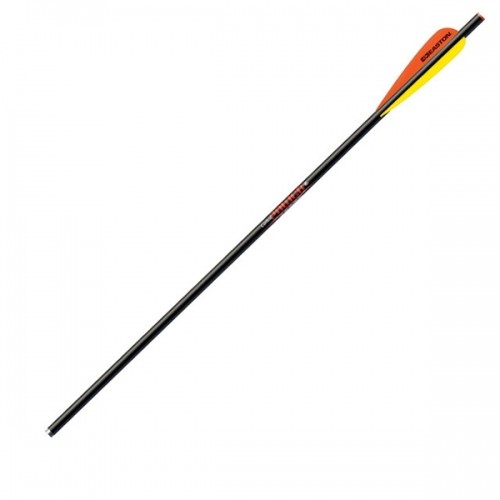 Easton BLOODLINE 20" CARBON ar MOON NOCKS arbaletu bultas kompl. 72 gb. image 1