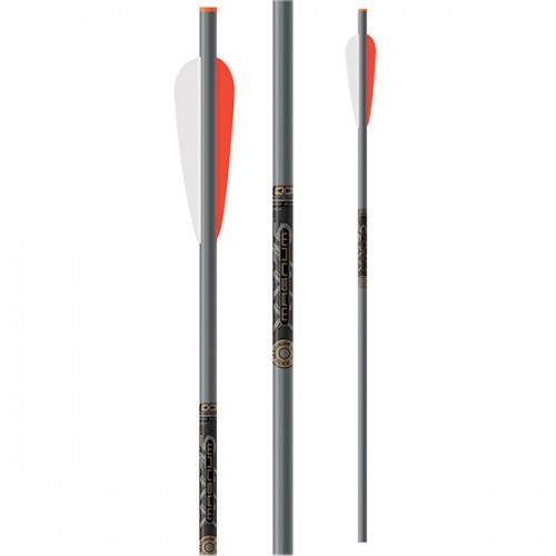 Easton ALUMINUM XX75 MAGNUM 20" 2219 ar MOONNOCKS arbaletu bultas kompl.6 gb. image 1