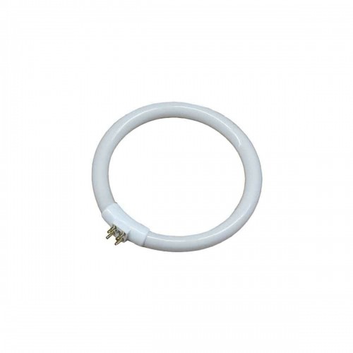 Fluorescent pipe EDM 30287 Replacement Circular T4 White 12 W (6500 K) image 1