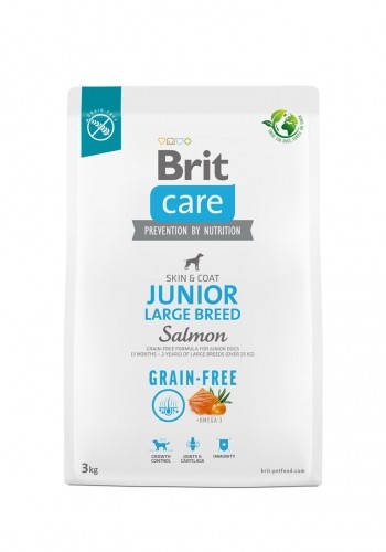 Dry food for young dog (3 months - 2 years), large breeds over 25 kg - Brit Care Dog Grain-Free Junior Large salmon 3kg image 1