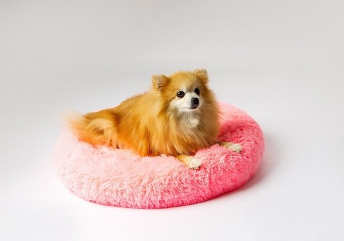 GO GIFT Shaggy pink M - pet bed - 57 x 57 x 10 cm image 1