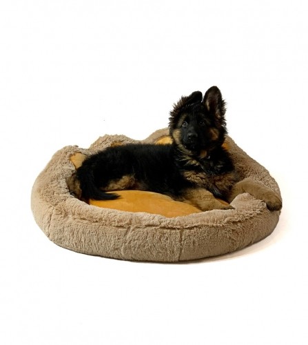 GO GIFT Dog and cat bed XL - camel - 75x75 cm image 1