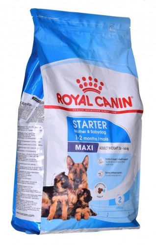 ROYAL CANIN SHN Maxi Starter Mother & Babydog - dry dog food - 4 kg image 1