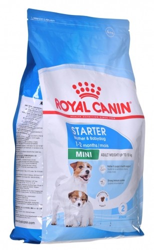 ROYAL CANIN SHN Mini Starter Mother & Babydog - dry dog food - 4 kg image 1