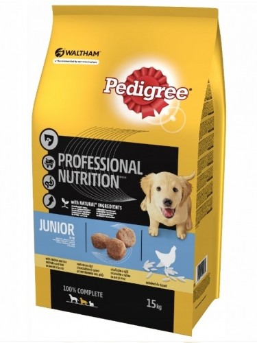 PEDIGREE Junior Medium Breeds, Chicken and Rice - Dry Dog Food - 15kg image 1